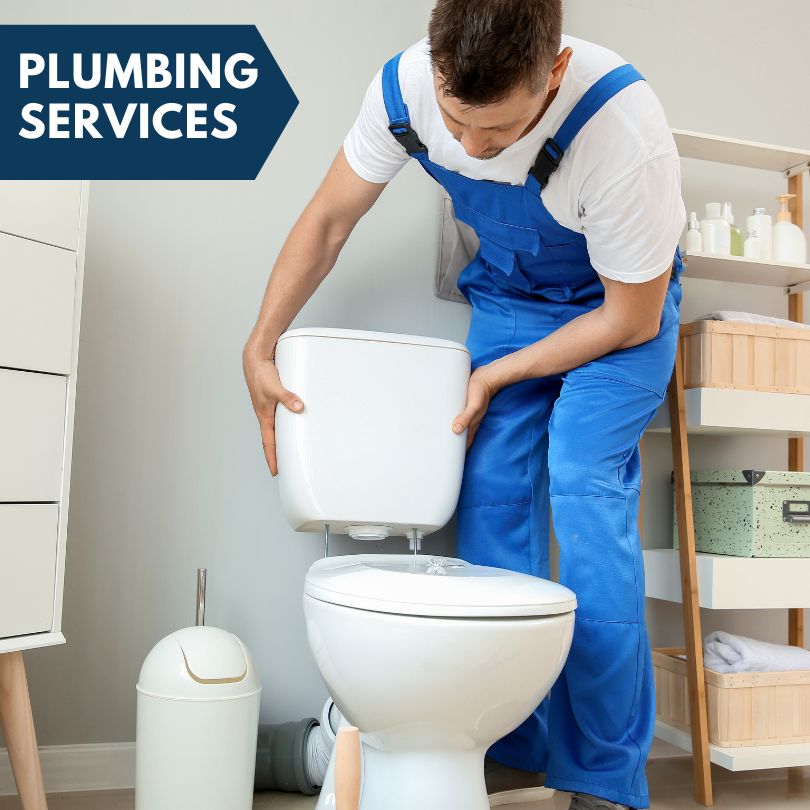 Plumbing Company in Oldtown, MD